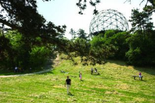 gombkilato_1.jpg gombkilato_1.jpg