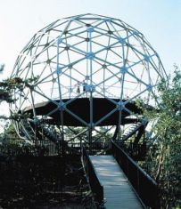 gombkilato_2.jpg gombkilato_2.jpg